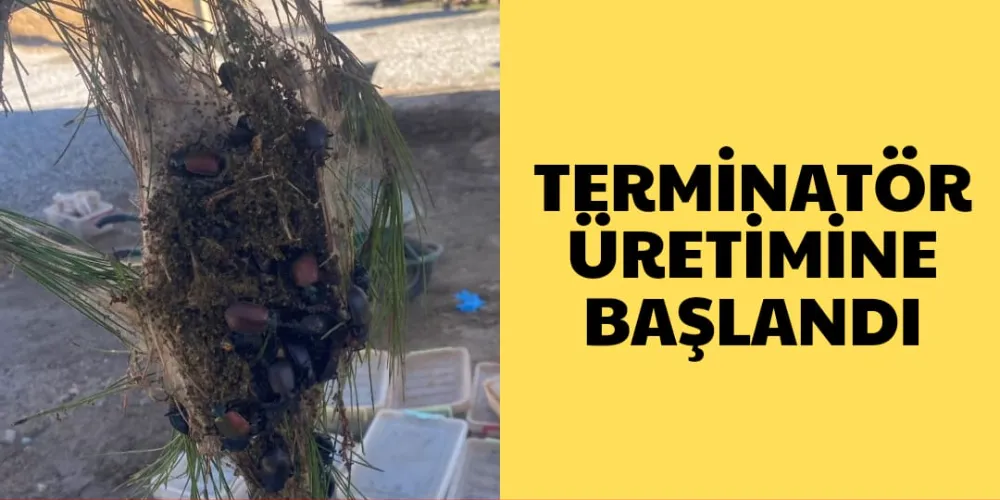 TERMİNATÖR ÜRETİMİNE BAŞLANDI