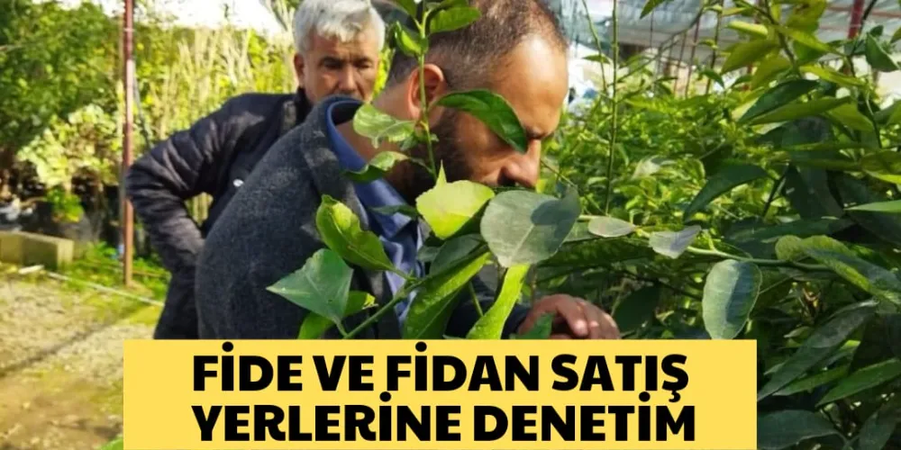 FİDE VE FİDAN SATIŞ YERLERİNE DENETİM