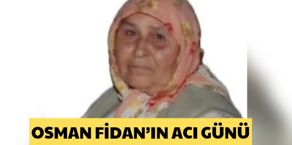 OSMAN FİDAN