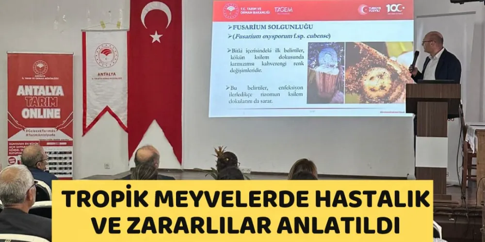 TROPİK MEYVELERDE HASTALIK VE ZARARLILAR ANLATILDI