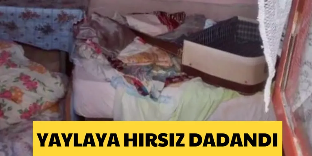 YAYLAYA HIRSIZ DADANDI