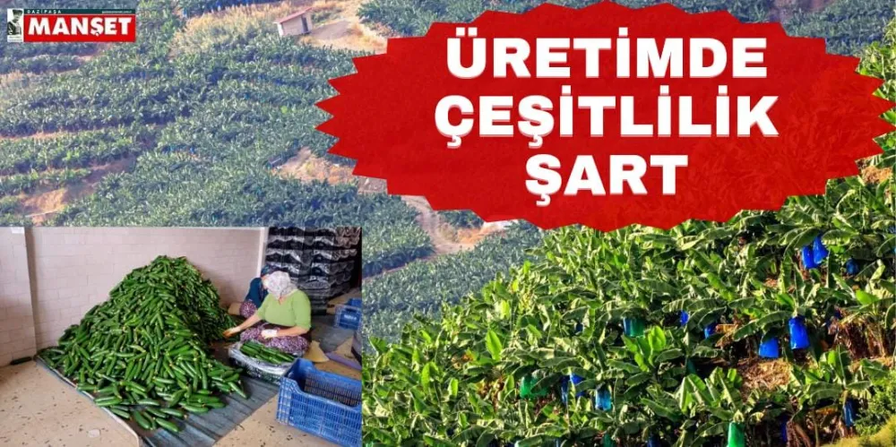 ÜRETİMDE ÇEŞİTLİLİK ŞART