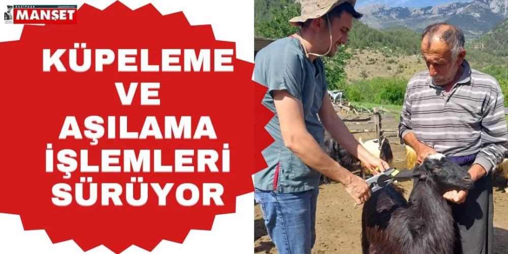 KÜPELEME VE AŞILAMA İŞLEMLERİ SÜRÜYOR