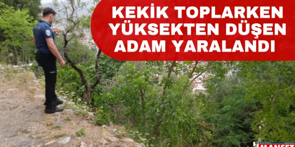 KEKİK TOPLARKEN YÜKSEKTEN DÜŞEN ADAM YARALANDI