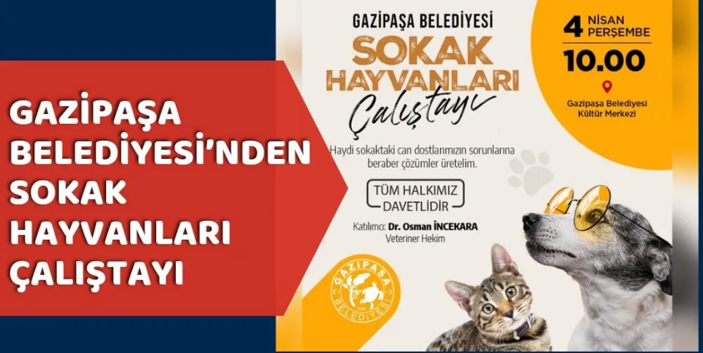 GAZİPAŞA BELEDİYESİ