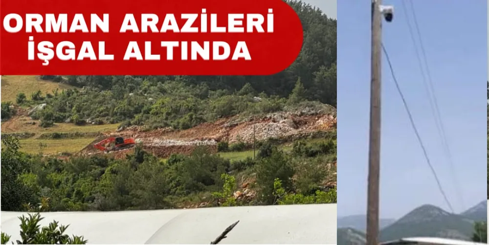 ORMAN ARAZİLERİ İŞGAL ALTINDA