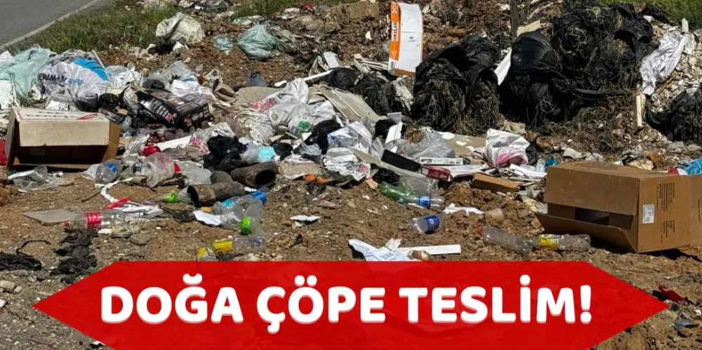 DOĞA ÇÖPE TESLİM!