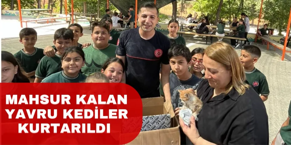 MAHSUR KALAN YAVRU KEDİLER KURTARILDI