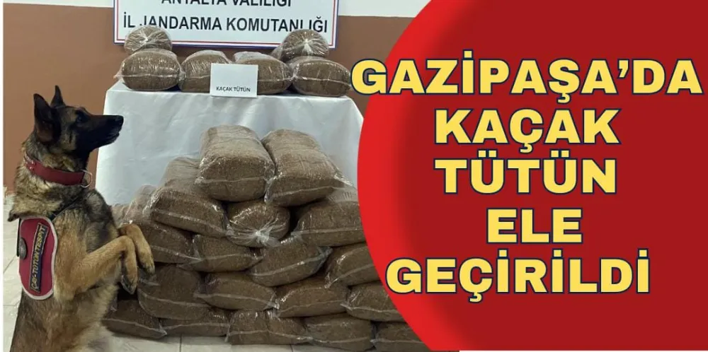 GAZİPAŞA