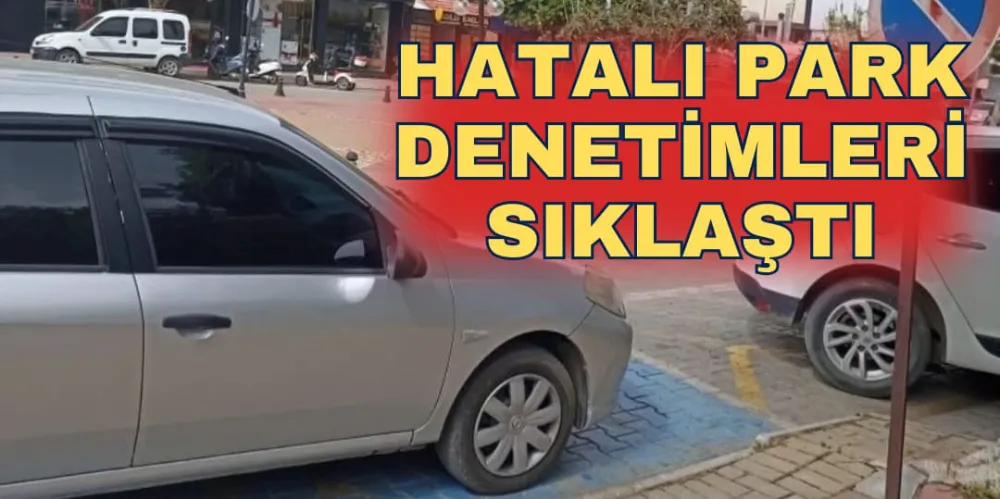 HATALI PARK DENETİMLERİ SIKLAŞTI