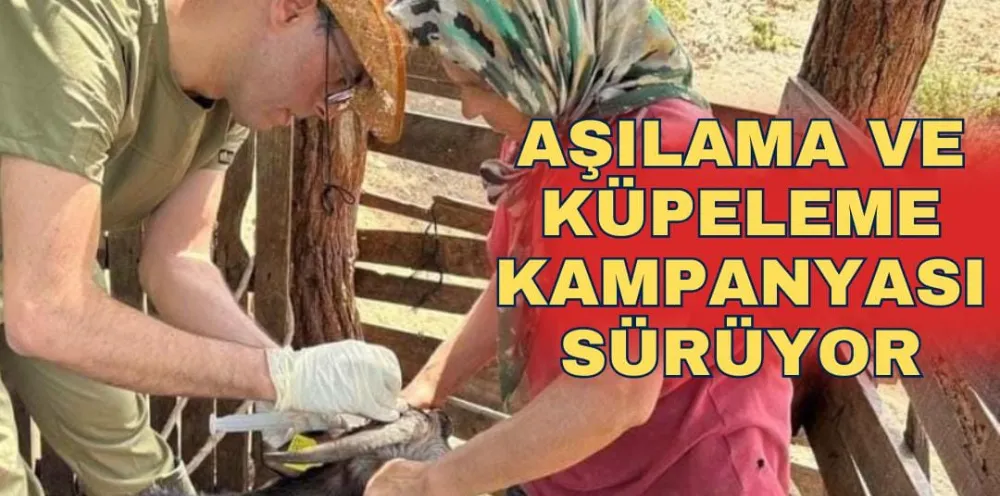 AŞILAMA VE KÜPELEME KAMPANYASI SÜRÜYOR