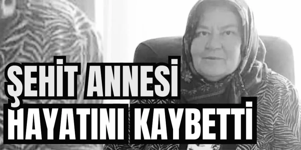 ŞEHİT ANNESİ HAYATINI KAYBETTİ