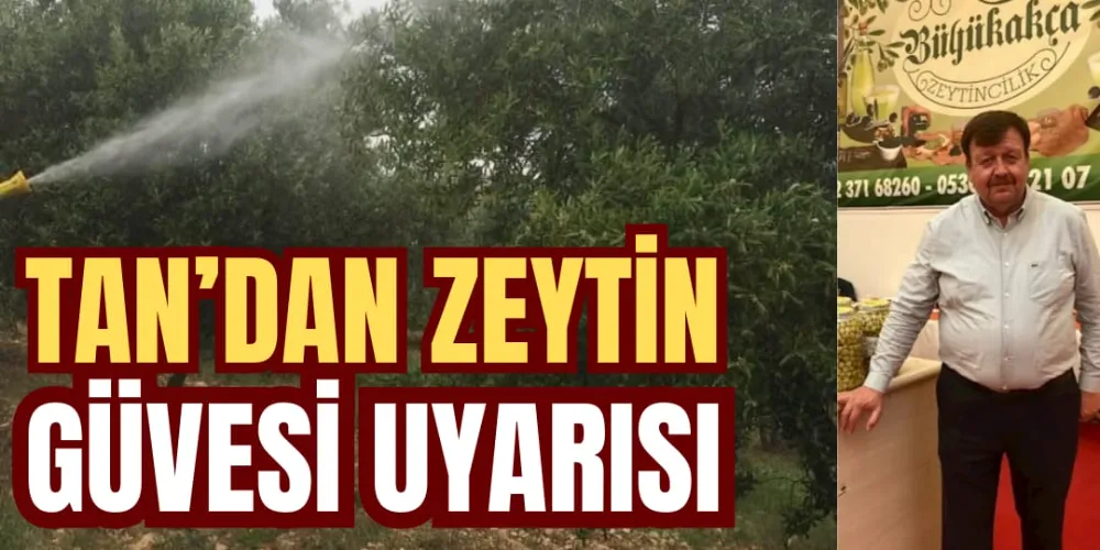 TAN’DAN ZEYTİN GÜVESİ UYARISI