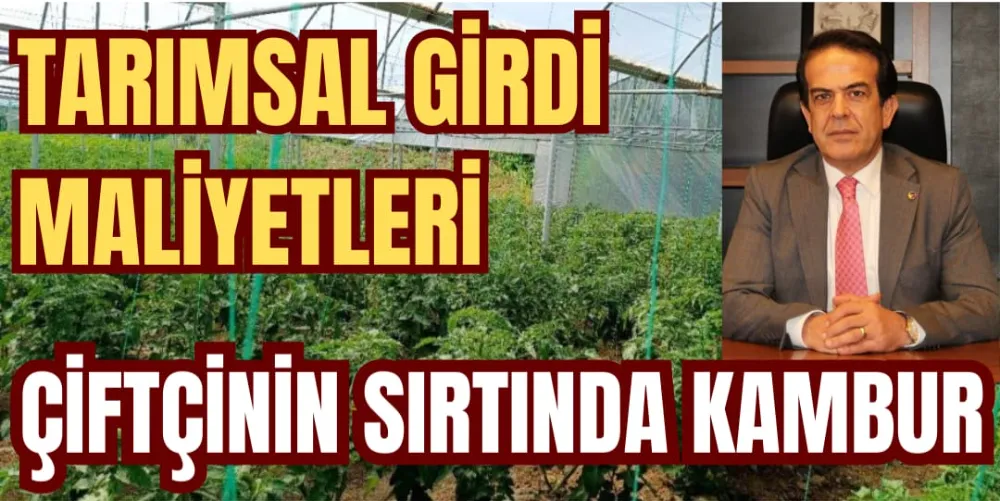 TARIMSAL GİRDİ MALİYETLERİ ÇİFTÇİNİN SIRTINDA KAMBUR