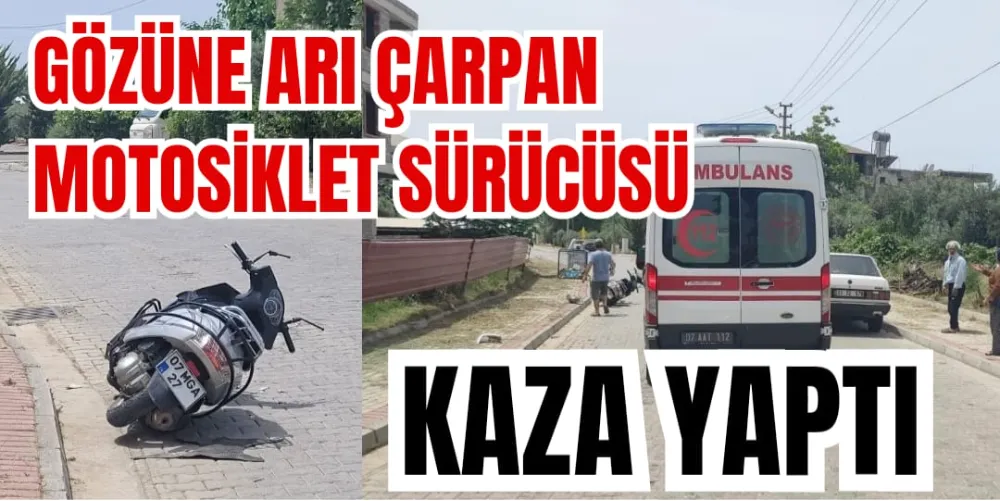 GÖZÜNE ARI ÇARPAN MOTOSİKLET SÜRÜCÜSÜ KAZA YAPTI