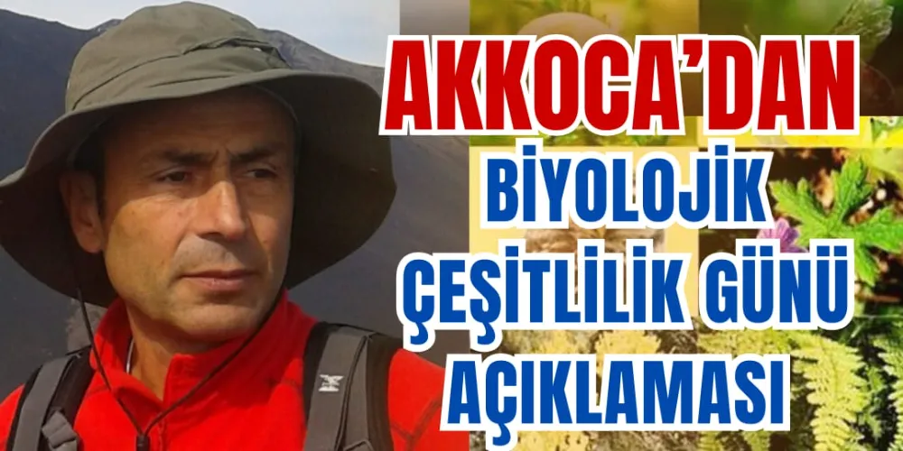 AKKOCA