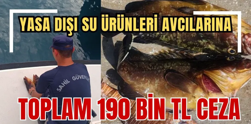 YASA DIŞI SU ÜRÜNLERİ AVCILARINA TOPLAM 190 BİN TL CEZA 