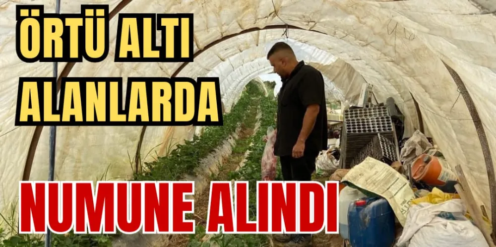 ÖRTÜ ALTI ALANLARDA NUMUNE ALINDI