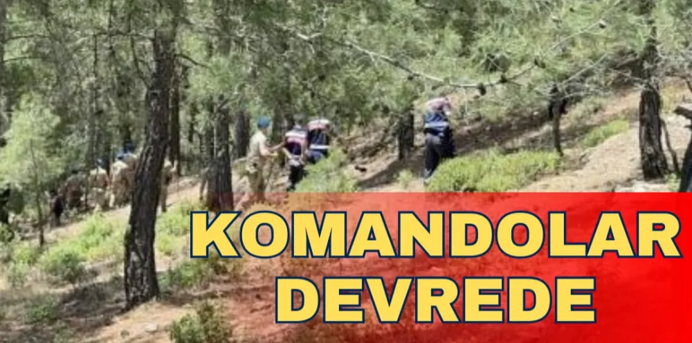 KOMANDOLAR DEVREDE