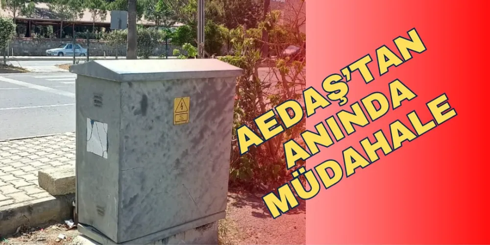 AEDAŞ