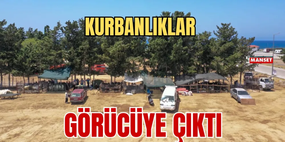 KURBANLIKLAR GÖRÜCÜYE ÇIKTI