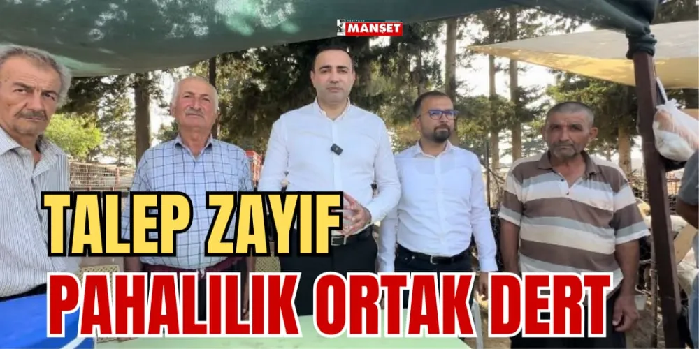 TALEP ZAYIF, PAHALILIK ORTAK DERT