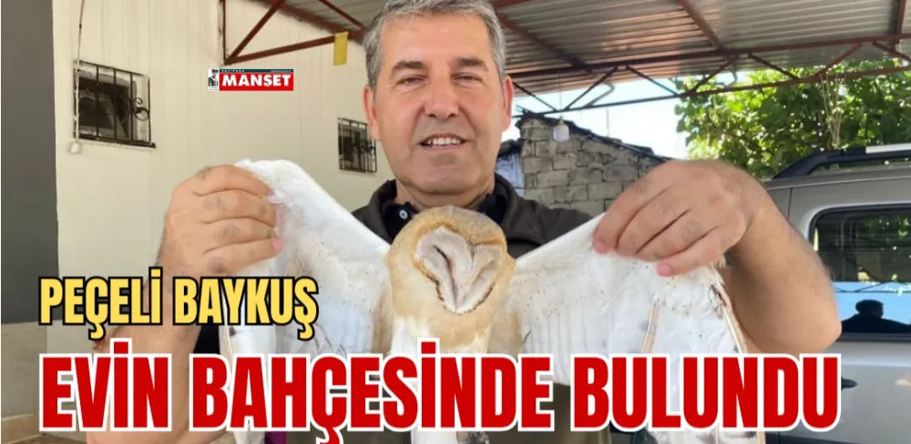 PEÇELİ BAYKUŞ EVİN BAHÇESİNDE BULUNDU