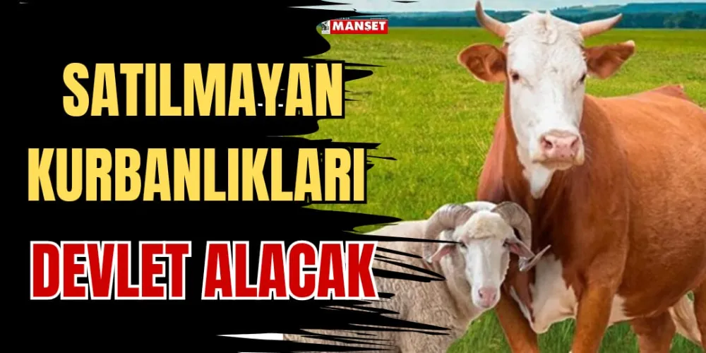 SATILMAYAN KURBANLIKLARI DEVLET ALACAK