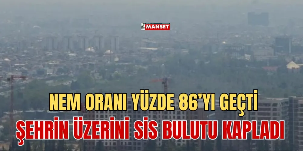 NEM ORANI YÜZDE 86