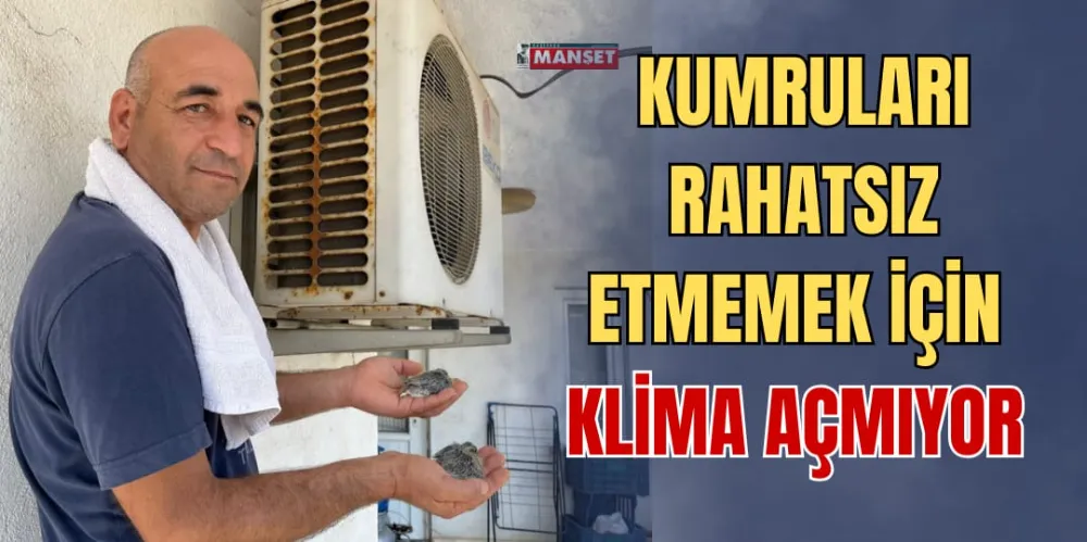 KUMRULARI RAHATSIZ ETMEMEK İÇİN KLİMA AÇMIYOR