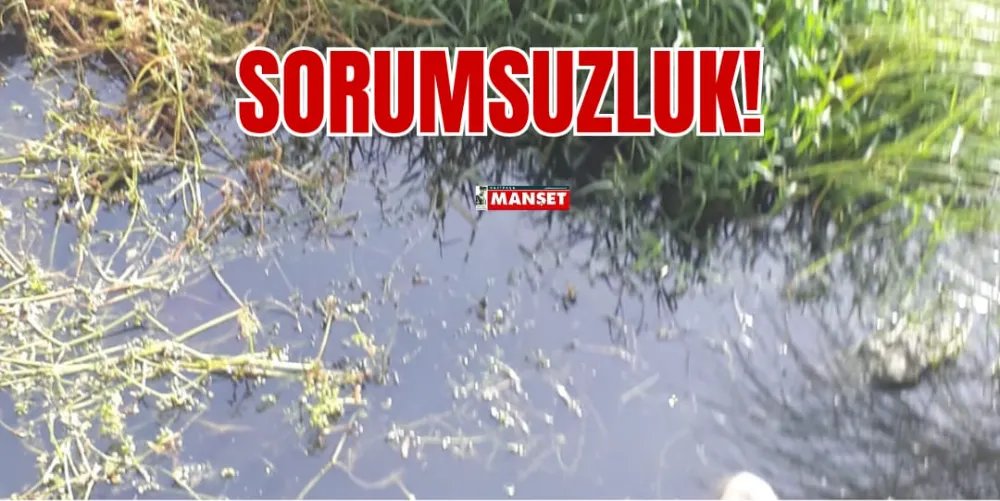 SORUMSUZLUK!