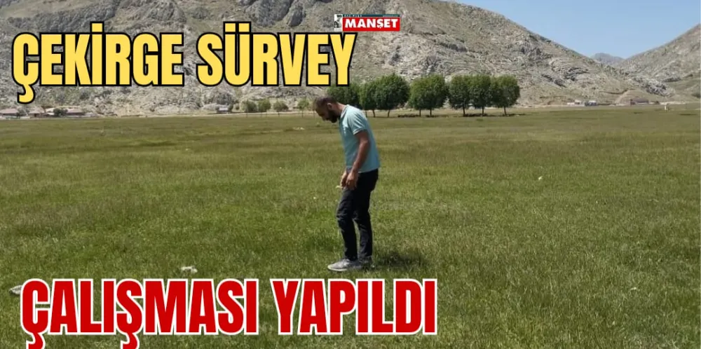 ÇEKİRGE SÜRVEY ÇALIŞMASI YAPILDI