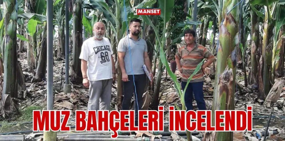 MUZ BAHÇELERİ İNCELENDİ