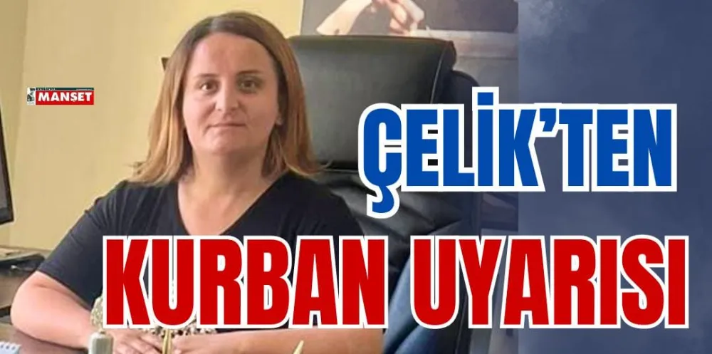 ÇELİK