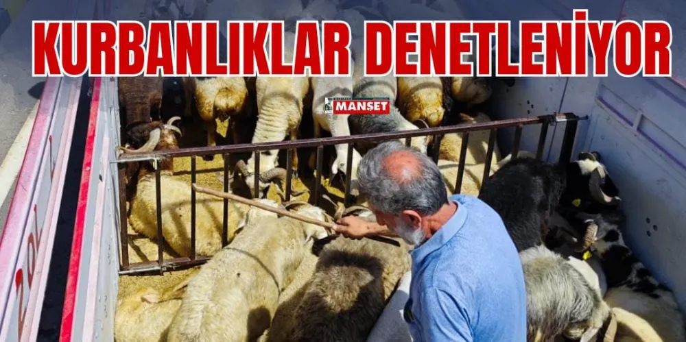 KURBANLIKLAR DENETLENİYOR