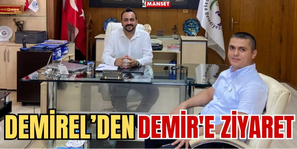 DEMİREL