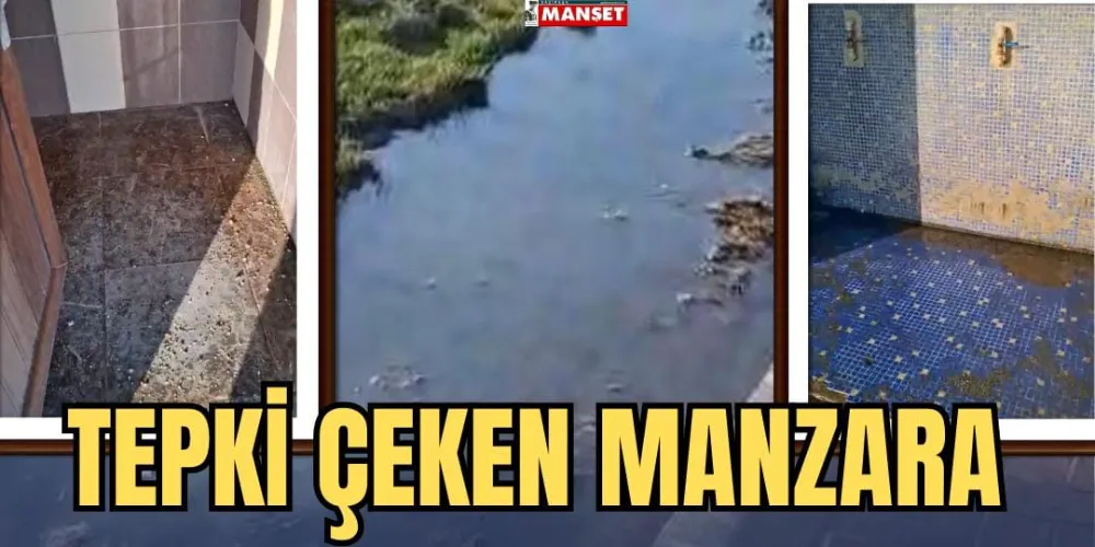 TEPKİ ÇEKEN MANZARA