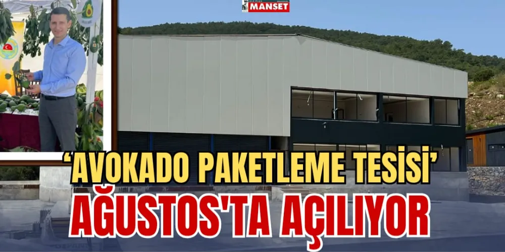 ‘AVOKADO PAKETLEME TESİSİ’ AĞUSTOSTA AÇILIYOR