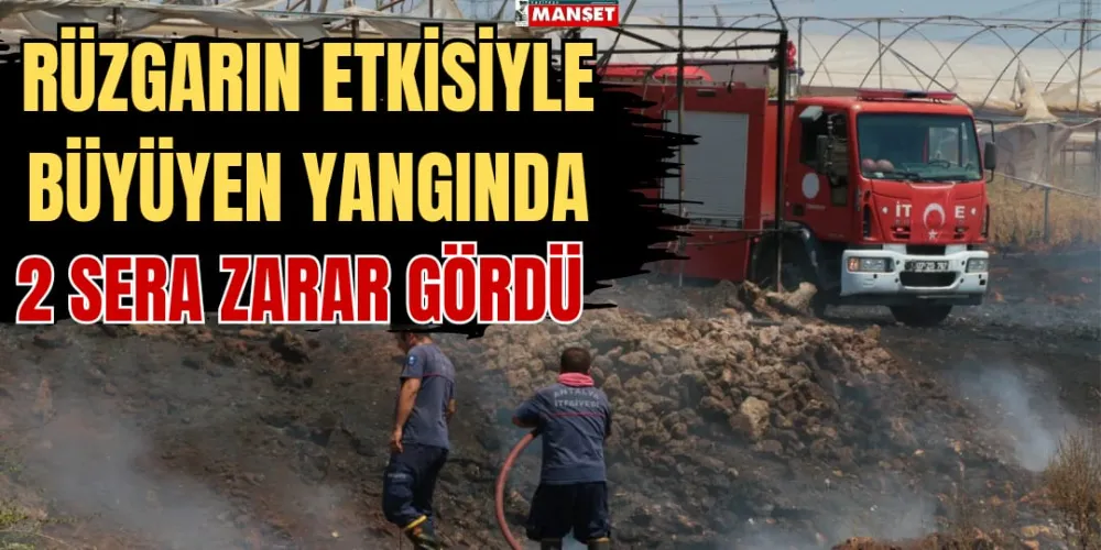 RÜZGARIN ETKİSİYLE BÜYÜYEN YANGINDA 2 SERA ZARAR GÖRDÜ