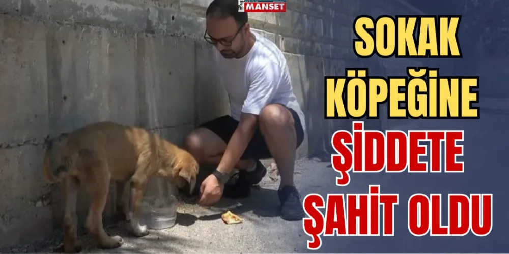 SOKAK KÖPEĞİNE ŞİDDETE ŞAHİT OLDU