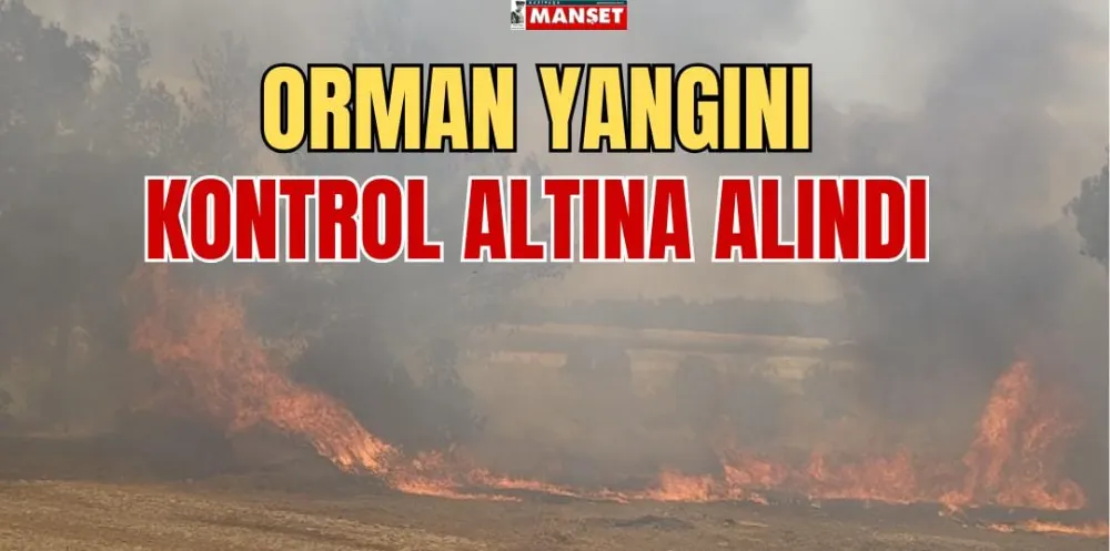 ORMAN YANGINI KONTROL ALTINA ALINDI