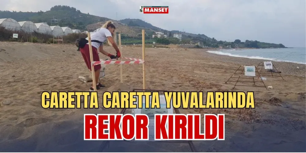 CARETTA CARETTA YUVALARINDA REKOR KIRILDI