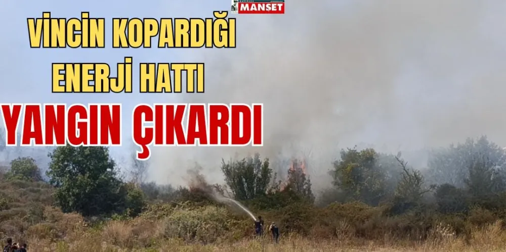 VİNCİN KOPARDIĞI ENERJİ HATTI YANGIN ÇIKARDI