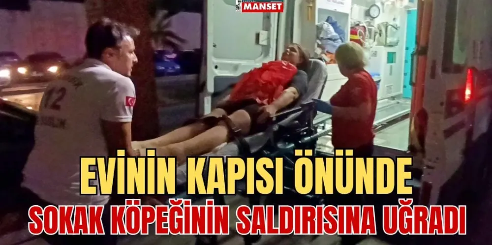  EVİNİN KAPISI ÖNÜNDE SOKAK KÖPEĞİNİN SALDIRISINA UĞRADI 