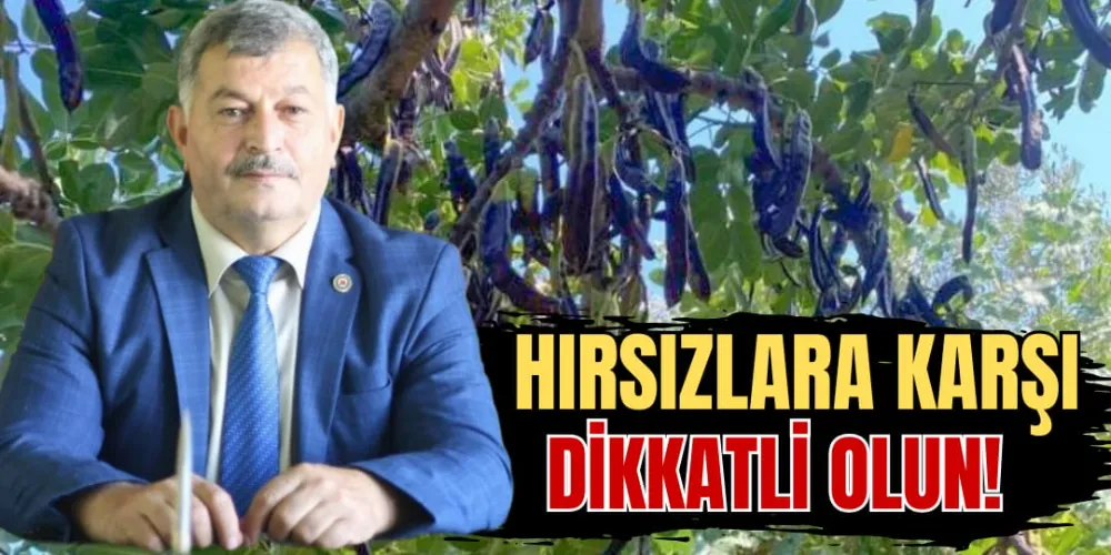 HIRSIZLARA KARŞI DİKKATLİ OLUN!