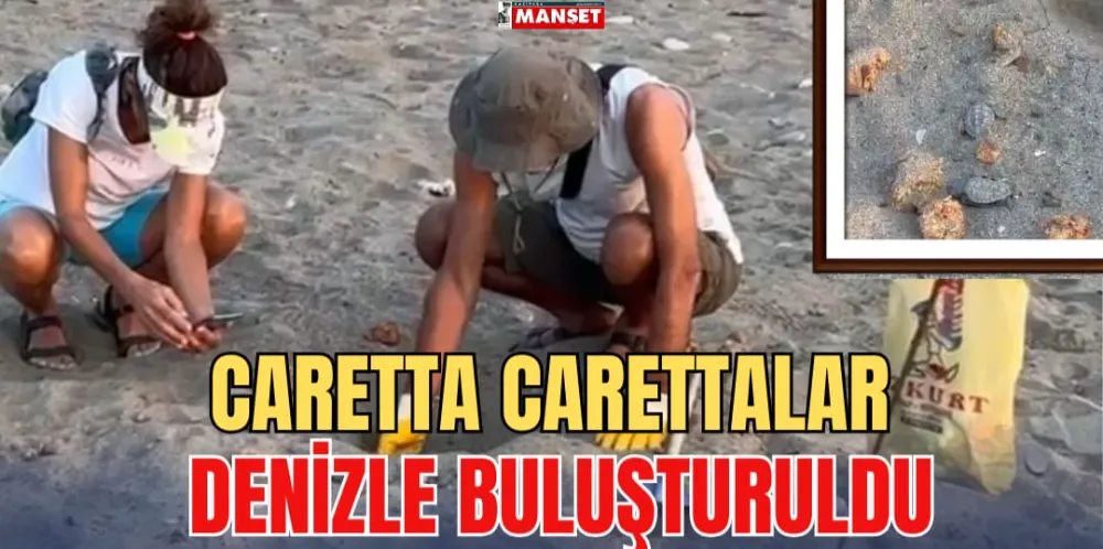 CARETTA CARETTALAR DENİZLE BULUŞTURULDU