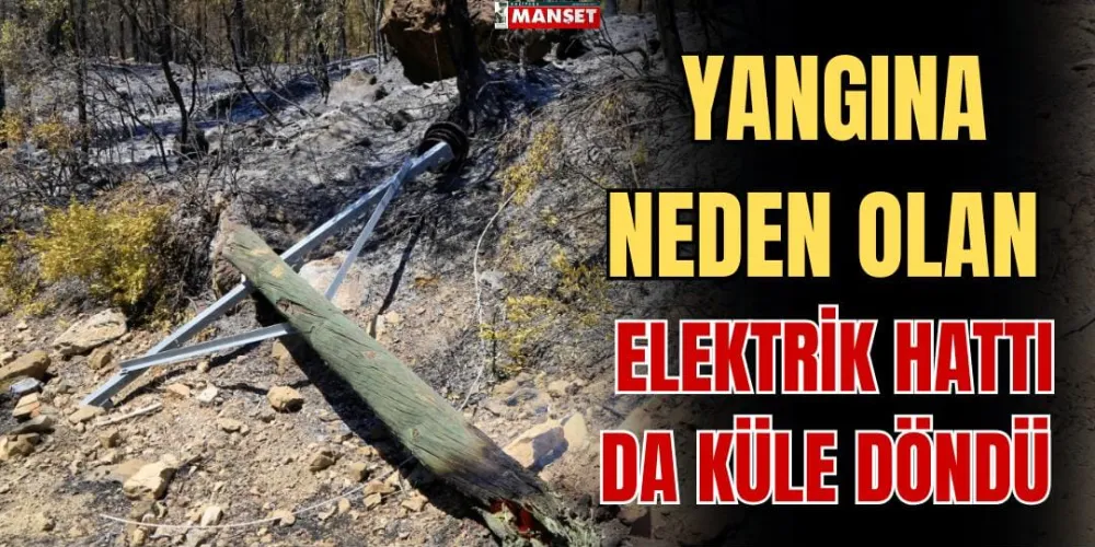 YANGINA NEDEN OLAN ELEKTRİK HATTI DA KÜLE DÖNDÜ