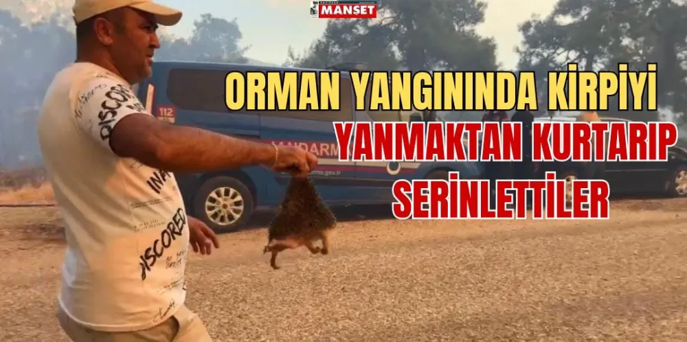  ORMAN YANGININDA KİRPİYİ YANMAKTAN KURTARIP SERİNLETTİLER