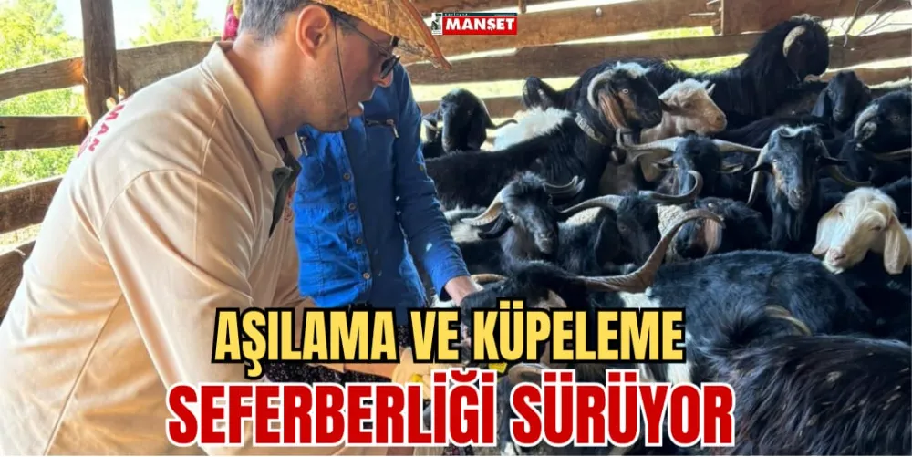 AŞILAMA VE KÜPELEME SEFERBERLİĞİ SÜRÜYOR