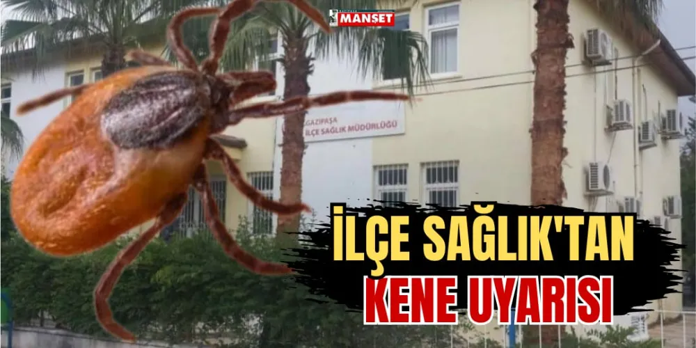 İLÇE SAĞLIK